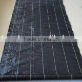 Weed Control Ground Cover Membrane Landscape Fabric thumbnail-2