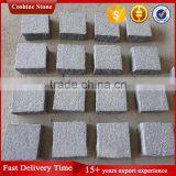 Flamed Black China Granite Walkway Pavers With Net Paste thumbnail-4