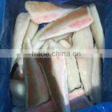 Red Gurnard Fillet thumbnail-6