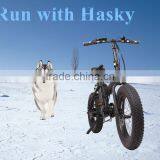 20 Inch OEM Fat Tyre Electric Fold Bike 250w With Suspension Front Fork thumbnail-3