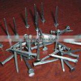WEIHAO Factory Shoe Tack Nails thumbnail-1