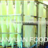 Instant Green Bean Vermicelli thumbnail-4