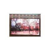 Indoor Full Color Led Display