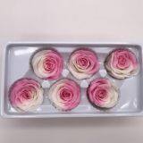 Preserved Rose Preserved Flowers Dried Flowers Birthday Valentine Party Wedding thumbnail-5