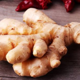 Wholesale Wholesale Organic Fresh Ginger Price Chinese Fresh Ginger Wholesale thumbnail-4