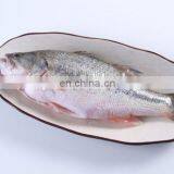 Fish Scale Peeling Cleaning Machine With High Quality thumbnail-7