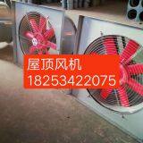 Roof Blower thumbnail-5