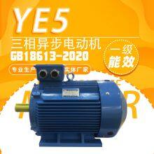 IE5 YE5-250M-4-55kW FOR FAN COMPRESS 400V/690V MOTOR thumbnail-1