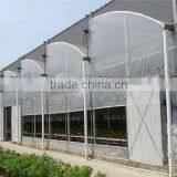 Vegetable Greenhouses for Sale thumbnail-2