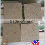 Jura Beige Limestone