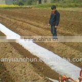 PE High Quality Plastic Biodegradable Agricultural Mulch Film thumbnail-1