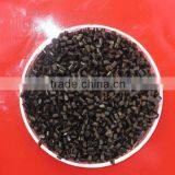 Extrusion Grade Masterbatch