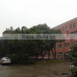 Zhejiang Yihua Leather Products Co., Ltd. company overview - view 2 thumbnail