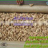 Hot Sale Potato Garlic Cleaning Peeling Machine for Commercial Use thumbnail-4