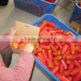 40/2 100 Polyester Sewing Thread for Shoes thumbnail-4