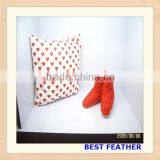 Feather Cushion