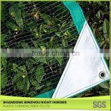 All Normal Sizes China Customed Plastic Olive Net&Fruit Nets for Sale