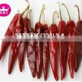 Sannam S4 Stemless Dry Red Chilli