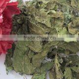 Mulberry Leaf Natural Herbal Tea thumbnail-6