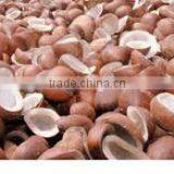 Copra From Kangayam thumbnail-1