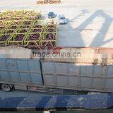 Eucalyptus Wood Chips From Vietnam thumbnail-3