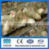 Hot Sale A Type Chicken Cage for Chicken Farm thumbnail-1