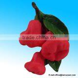 ROSE APPLE FRUIT MAGNET RESIN 3D FRIDGE MAGNET SOUVENIR thumbnail-1