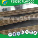 Eucalyptus Core Film Faced Shuttering Plywood 18mm 15mm thumbnail-4