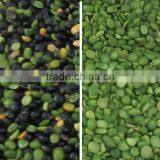 2017 Intelligent Image Double Side Ccd Camera Bean Sorting Machine thumbnail-3