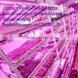 36W LED Grow Bar Light High Par Full Spectrum Chip thumbnail-2