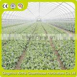 Saving Water Irrigation System,modern Greenhouse for Agriculture Farming With Professional Designing thumbnail-2