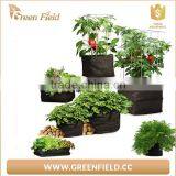 Flower Grow Bag, Garden Felt Grow Bag thumbnail-6