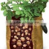 Hydroponics Super Strong Fabric 1-1200 Gallon Grow Bag/pot for Plant Growth thumbnail-2