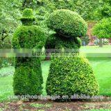 SJ010808 High Quality Evergreen Artificial Cartoon Topiary Animal Grass Animal Sculpture thumbnail-6