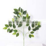 Guangzhou Shengjie Fire Retarant Ficus Leaves/banyan Tree Leaf With Resistence thumbnail-3