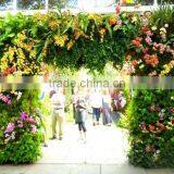 Eco-friendly Artificial Plant Wall ,artificial Grass Wall, Foliage Green Wall for Sale thumbnail-3