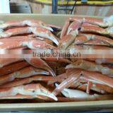 Delicious Wholesale Frozen Seafood Crab for Buyers , Other Seafoods Also Available thumbnail-1