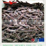 Hot Sales Frozen Salted Anchovy Fish thumbnail-3