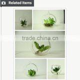 Artificial Succulent Home Decorative Tropical Plants Small Manufacturing Plant thumbnail-2