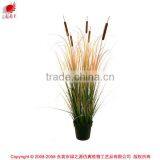 Dongugan Factory Direct Sale Artificial Grass Onion Grass With Cattails in Pot Synthetic Potted Grass Pots Plant thumbnail-1