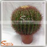 China Supplier Hot Sale Artificial Mini Cactus Plant Bonsai for Indoor and Outdoor thumbnail-3