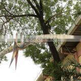 Pteranodont thumbnail-1