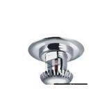 Hidden Camera thumbnail-1