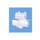 Check Valve thumbnail-1