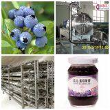 blueberry juice processing line