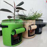 Smart Durable Garden Potator 5 Gallon Felt Plant Grow Bags thumbnail-6