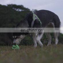 Unique Design Dog Chew Ball Puzzle Rubber Ball for Pet Play thumbnail-2