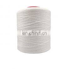 Factory Supply High Quality Tenacity 100% Poly Poly Core Spun Thread