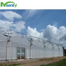 Commercial Use Agriculture Equipment PE Plastic Large Tunnel Vegetables Greenhouse