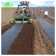 Black Agriculture pe Plastic Agricultural Film Barrier Mulching Sheet thumbnail-1